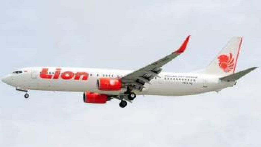  Vea video: Sin rastro de vida de los 188 ocupantes del avi&oacute;n estrellado en Indonesia 