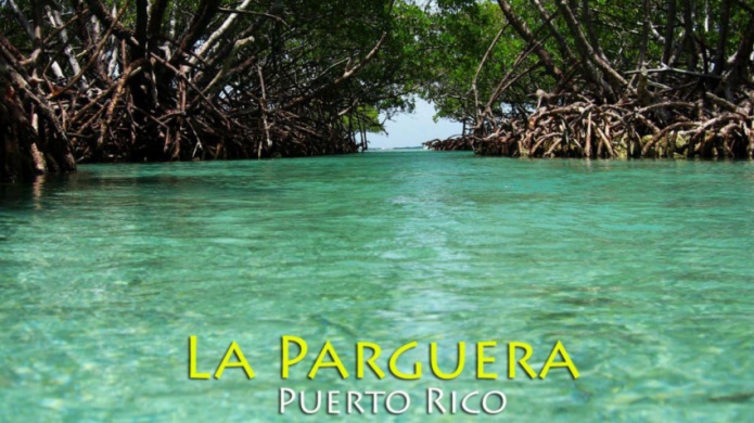 Denuncian de proyecto que privatiza la Reserva Natural La Parguera es irresponsable e incongruente