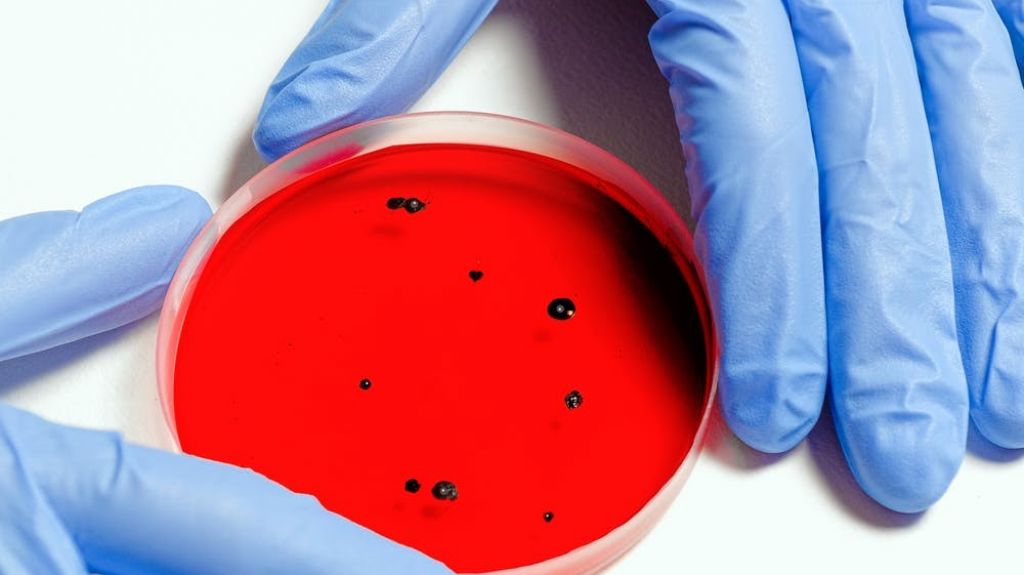  Cient&iacute;ficos surcoreanos aseguran que recuperados del COVID-19 no se contagiar&aacute;n por segunda ocasi&oacute;n 