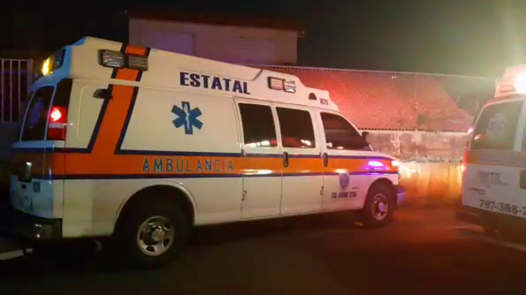  Cerdo muerde a un hombre en Vieques 