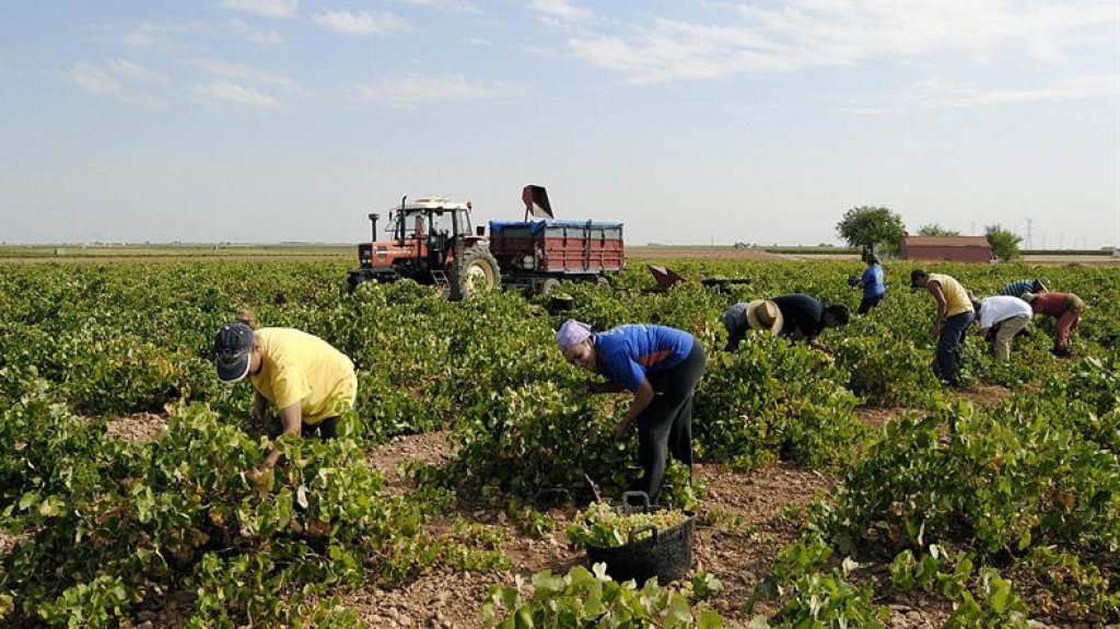  La agricultura mundial se revaloriza pese al efecto pandemia en pa&iacute;ses pobres 