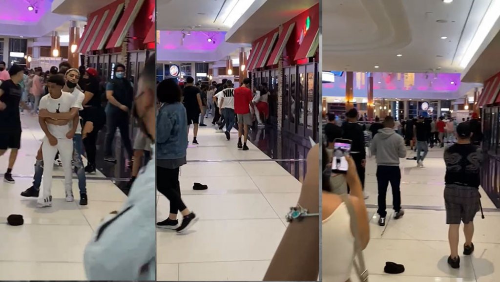  Video: &ldquo;Royal Rumble&rdquo; de chamaquitos en Plaza del Sol 