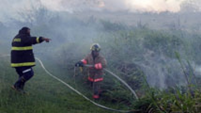 FUEGO DE PASTIZAL MANTIENE ACTIVOS A BOMBEROS DE VARIOS MUNICIPIOS DE LA ZONA ESTE