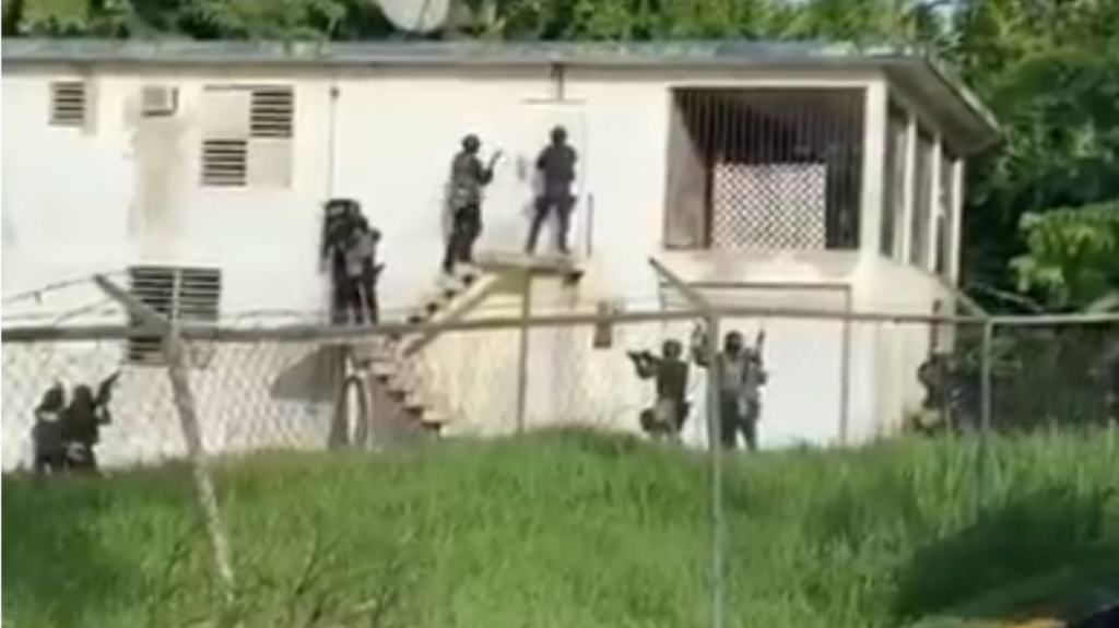  Video del momento en que arrestan empleado de FEMA con invernadero y libras de marihuana en Guaynabo 