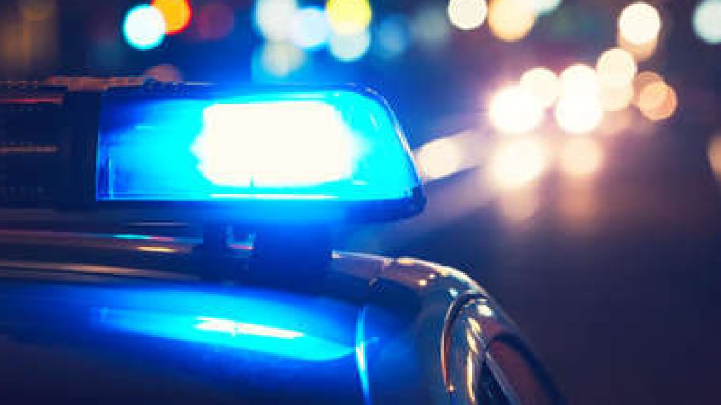  Un caballo muerto y otro herido en accidente de tr&aacute;nsito en Guaynabo 