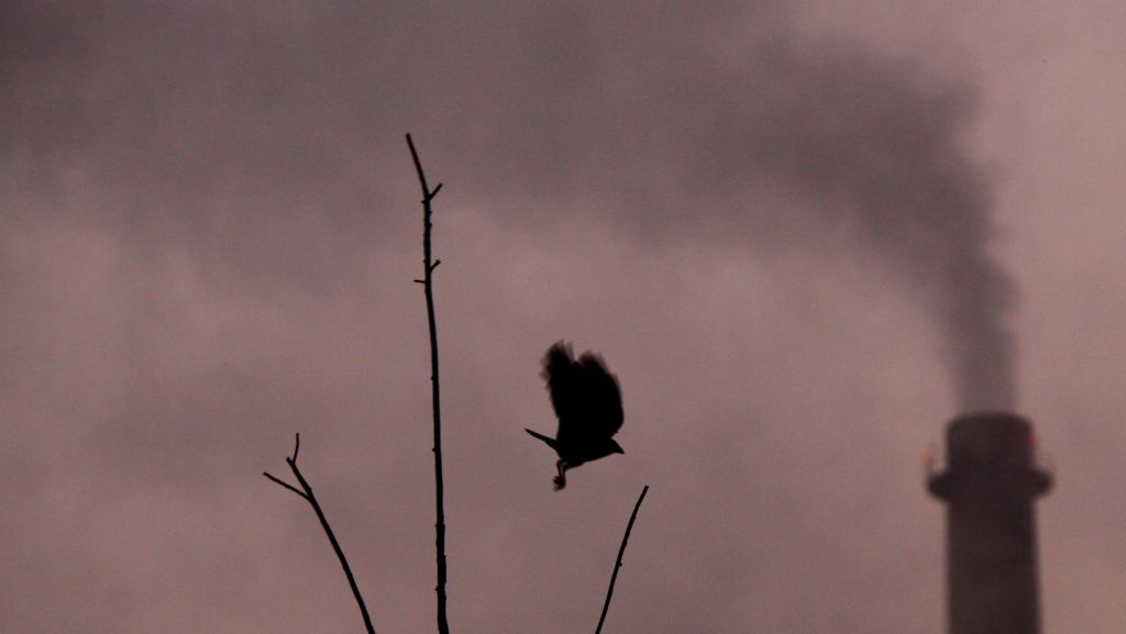  Crean sistema que evita las emisiones de CO2 al elaborar combustible líquido 