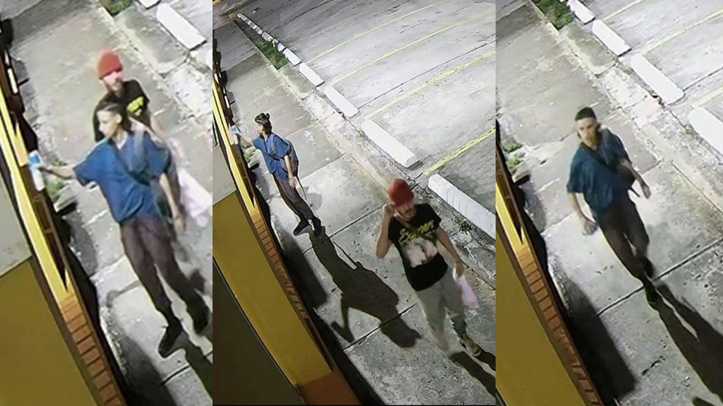  Video: Buscan a responsables de vandalismo en San Juan 