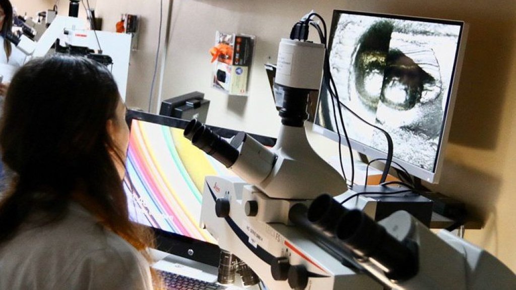  ICF a&uacute;n no tiene la determinaci&oacute;n final sobre la causa de muerte de Rodr&iacute;guez Ortiz 