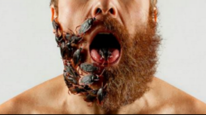 Científicos aseguran que la barba puede tener más bacterias que un inodoro 