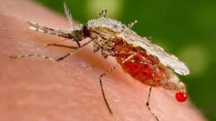 Se confirmaron 8 casos de chikungunya y 5 casos de influenza 