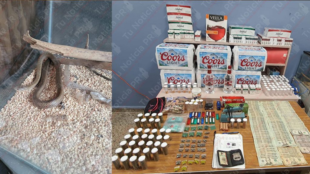  Arrestados dos hombres y una mujer durante allanamiento de drogas Yauco 