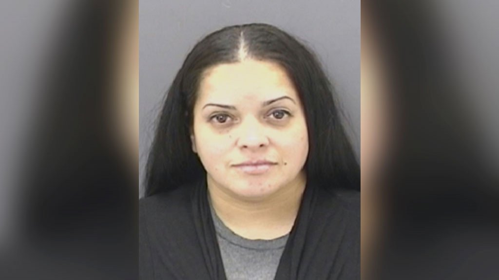  Libre bajo fianza mujer acusada de Fraude y falsificación de documentos 