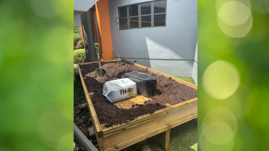  Desarrollo Econ&oacute;mico y Comercio instalar&aacute; huertos rob&oacute;ticos en 10 escuelas 