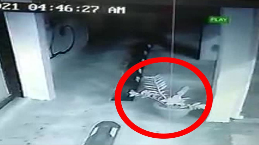 Publican video de mujer robando una planta frente a negocio de Carolina 
