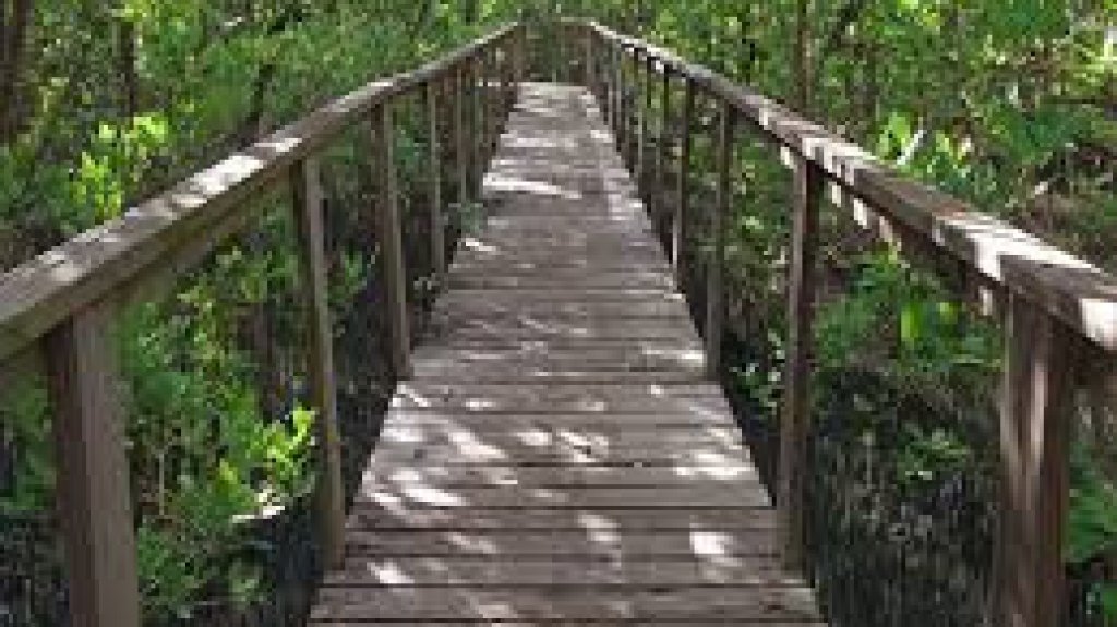  DRNA anuncia cierre de &aacute;reas naturales ante posible paso de fen&oacute;meno atmosf&eacute;rico y asegura que casas de bombas de la agencia est&aacute;n funcionando 