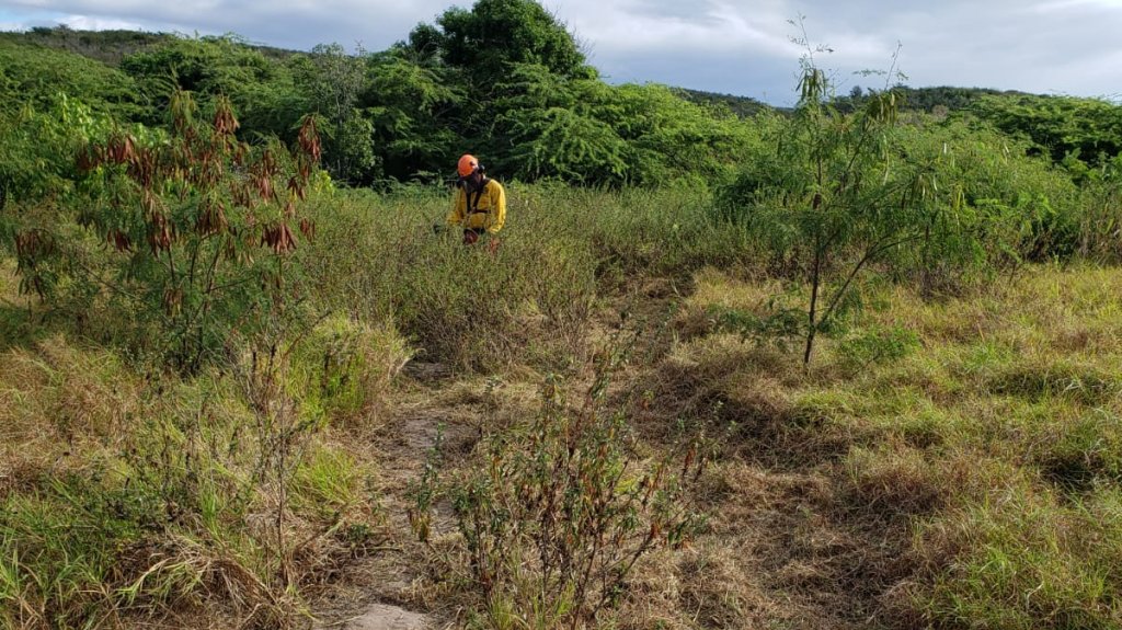  DRNA urge a crear conciencia sobre peligrosidad de fuegos forestales 