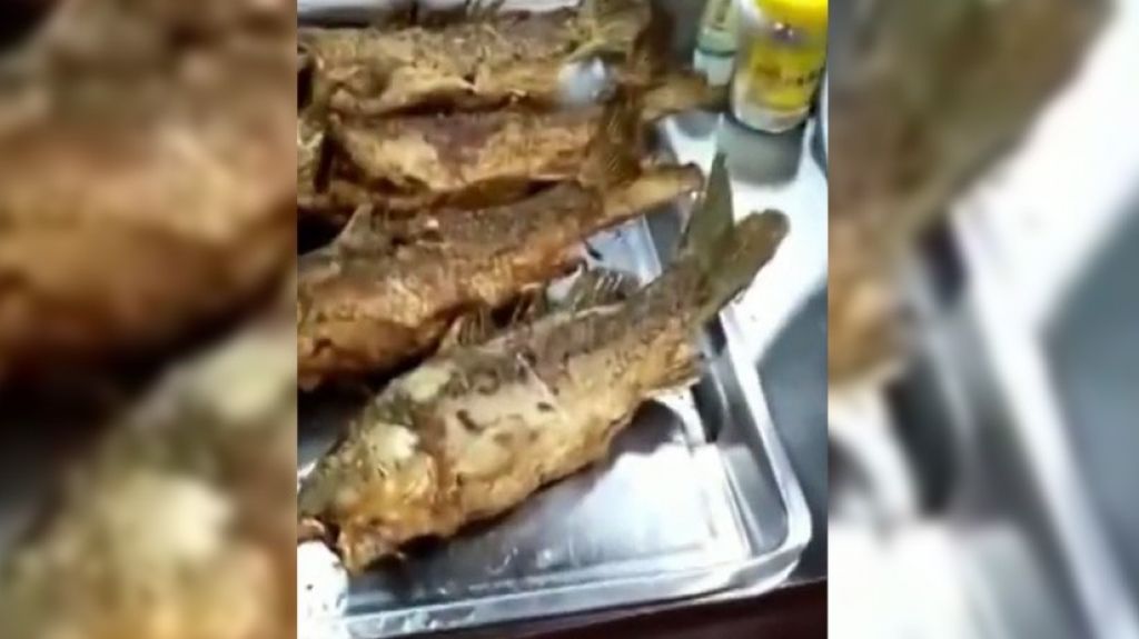  VIDEO: Pescado frito todav&iacute;a se mueve en el plato 