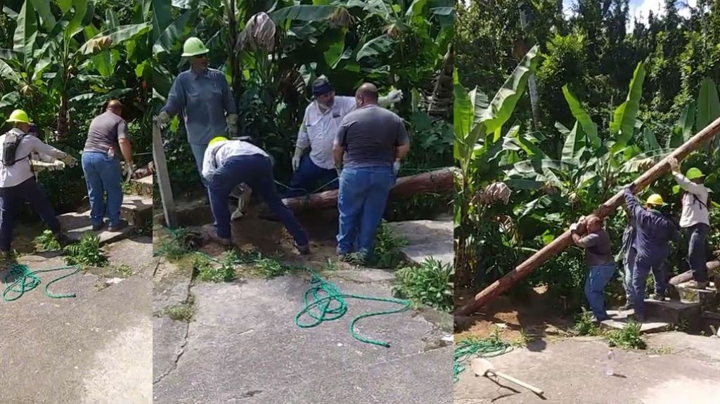  En Video como empleados de la AEE se fajan cargan y levantan poste a mano para dar luz en Utuado 