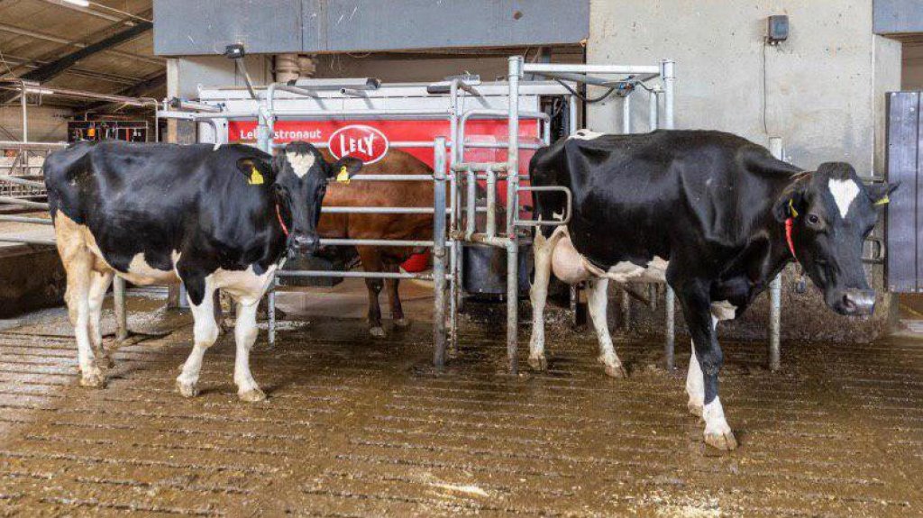  Empresas agr&iacute;colas est&aacute;n al borde de la quiebra por &ldquo;negligencia&rdquo; del secretario de Agricultura Carlos Flores 