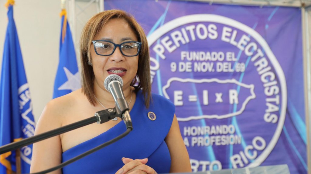  Colegio de Peritos Electricistas advierte del peligro de intentar operar el sistema el&eacute;ctrico del Pa&iacute;s por personas no autorizadas 