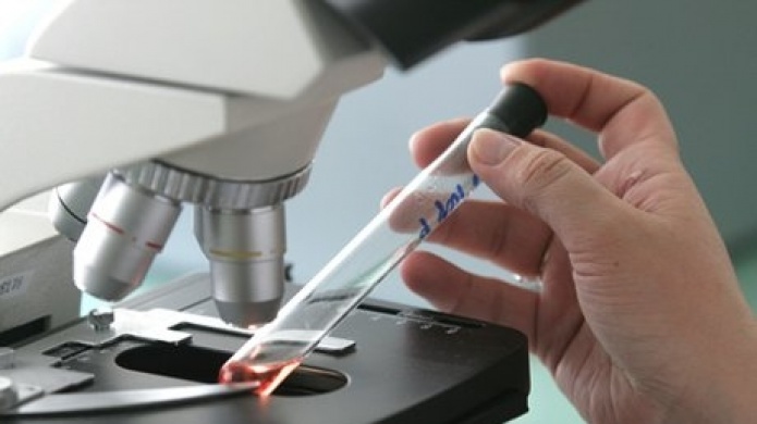 El nanotransportador ruso, directo a vencer el cÃ¡ncer