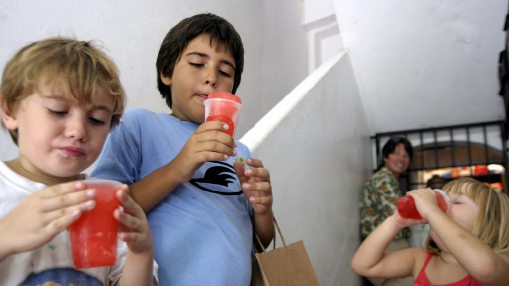  En 2017 se produjeron 207 adopciones en la isla, 21 m&aacute;s que en 2016 