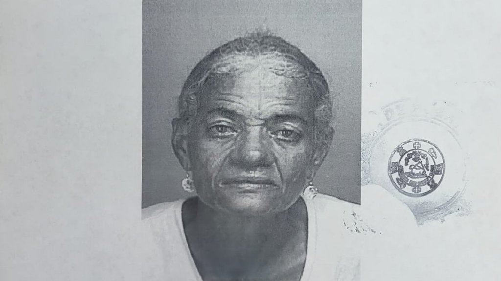  Arrestan a &ldquo;Do&ntilde;ita&rdquo; por maltrato f&iacute;sico y privaci&oacute;n de libertad en Guaynabo 