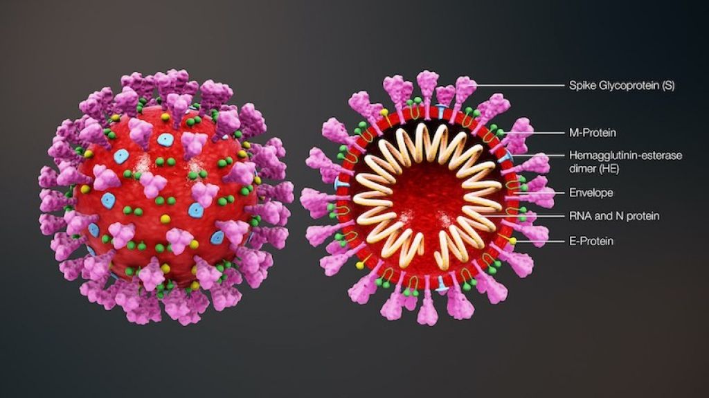  Confirman a un posible portador del coronavirus en Nueva York 