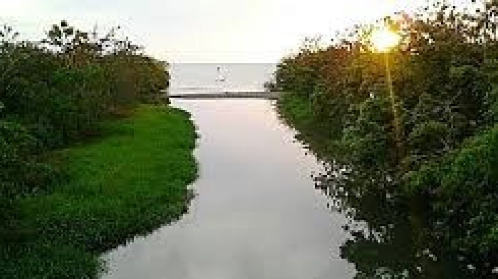  Alcalde de Mayag&uuml;ez critica falta de limpieza del DRNA a cauces de r&iacute;os 