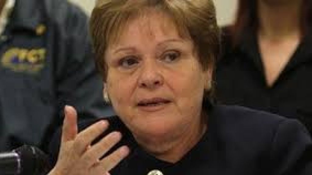  Aida D&iacute;az califica de perturbador intenci&oacute;n de Trump de desviar fondos de reconstrucci&oacute;n para construir el muro fronterizo con M&eacute;xico 