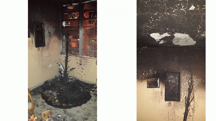 SE PRENDE EN FUEGO ÁRBOL DE NAVIDAD NATURAL EN RESIDENCIA DE MAYAGÜEZ   