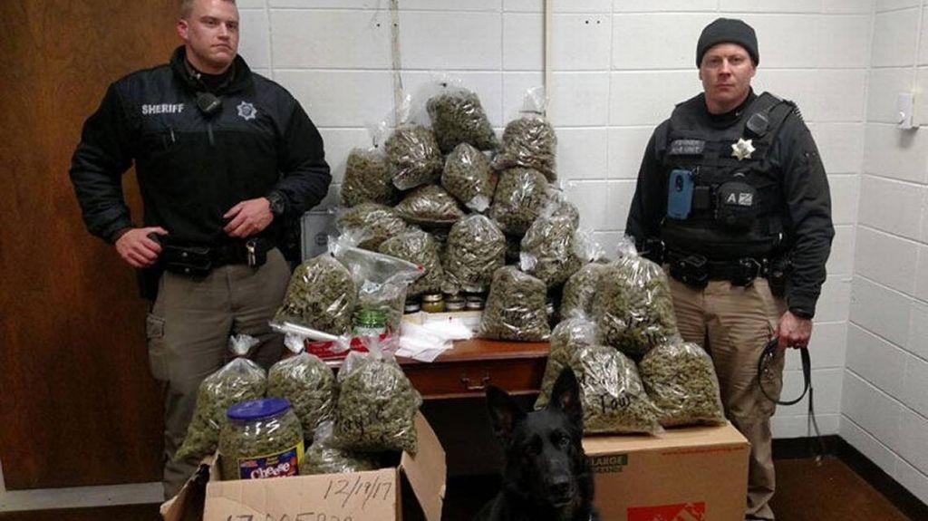 "Es para regalar en Navidad", dijeron ancianos arrestados con 60 libras de marihuana en su camioneta