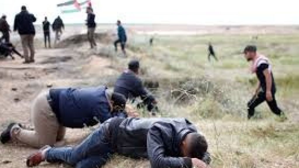  Vea video: Cinco palestinos muertos y 356 heridos en incidentes en la frontera de Gaza 