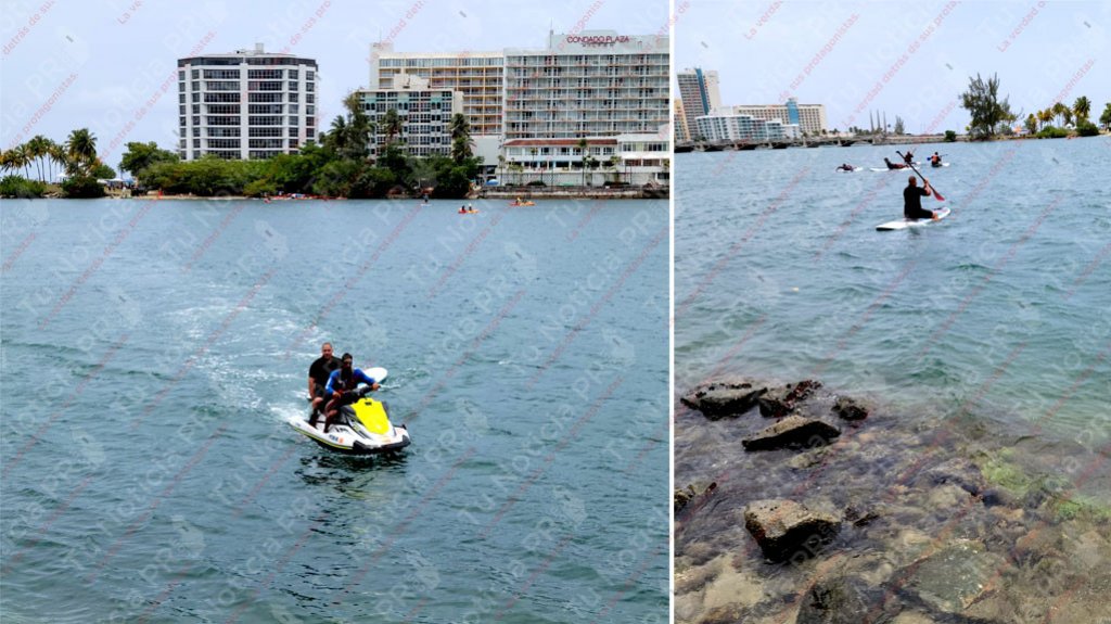  VIDEO: Arrestan &ldquo;cacos&ldquo; que asaltaron y huyendo de la polic&iacute;a se tiraron a la laguna del Condado 