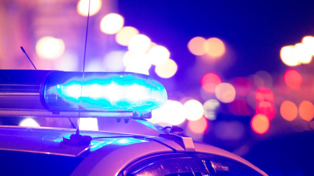  Perro muere en tiroteo a residencia en Caguas 