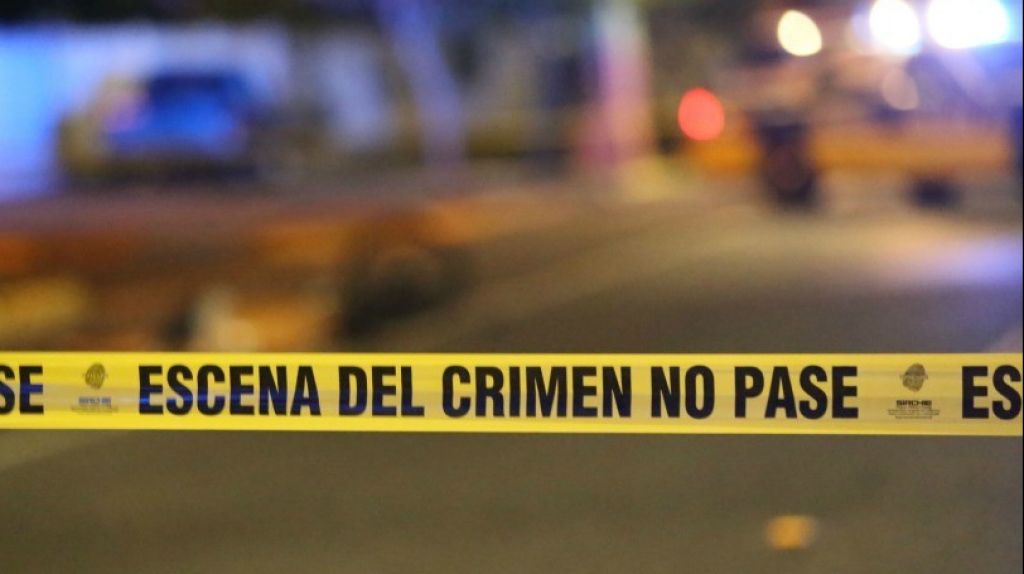  Un hombre y un caballo muerto durante tiroteo anoche en Vega Baja 