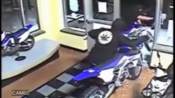 Video: Mozalbetes roban decenas de motoras de una tienda en EU