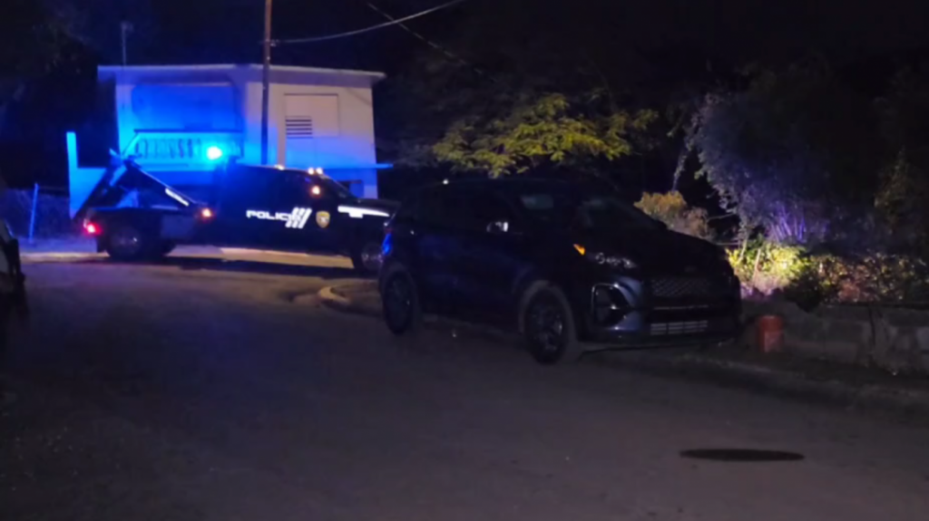  Video: Identifican a los muertos en masacre de Guayama 