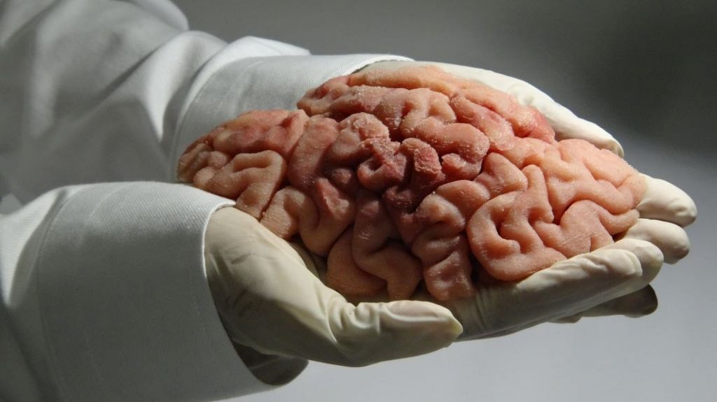  La tecnología de impresión tridimensional revoluciona la cirugía 