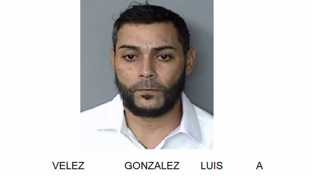  Se Busca por ley 54 por en Mayag&uuml;ez 