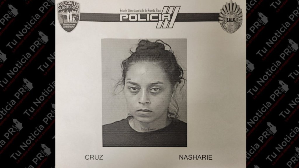  En prisi&oacute;n mujer que rompi&oacute; con una azada propiedad en la casa de su madre en Humacao 