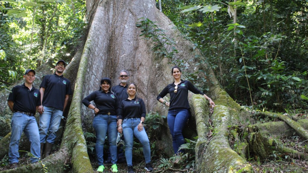  A la siembra de 5 mil &aacute;rboles en el sur 