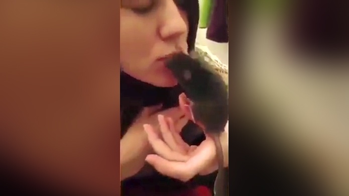 Video: Â¿UsarÃ­as una rata viva para tu limpieza bucal?