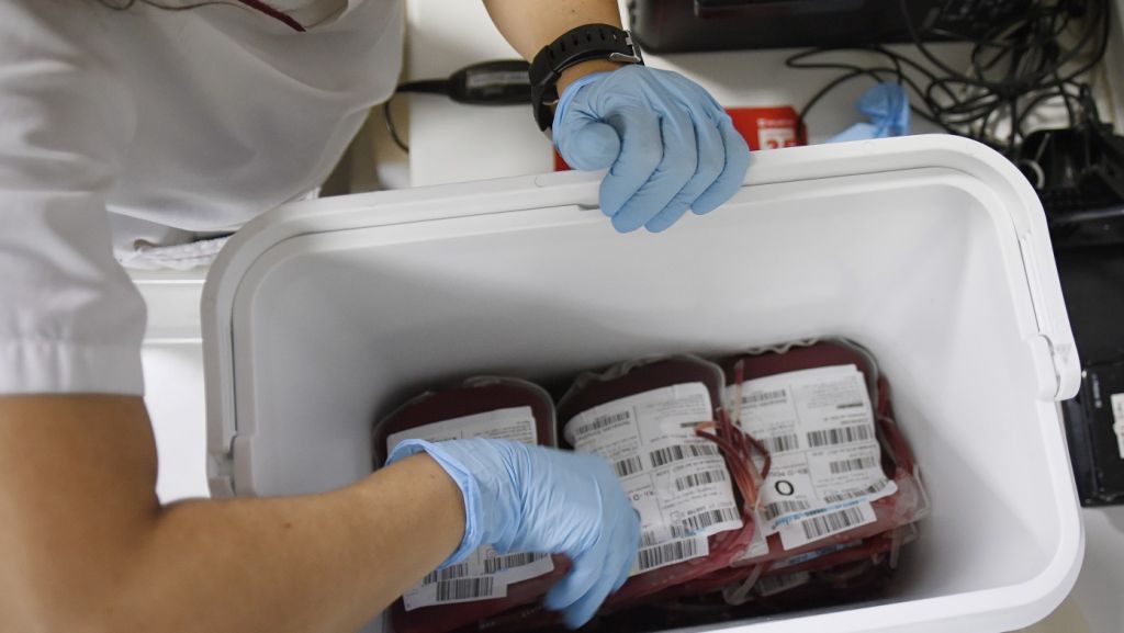  Buscan en todo el mundo sangre para ni&ntilde;a con ant&iacute;geno enferma de c&aacute;ncer 