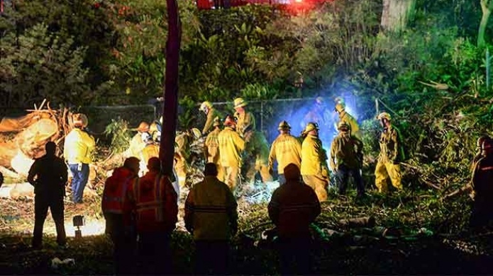En plena boda, cae Ã¡rbol y mata a la madre de la novia