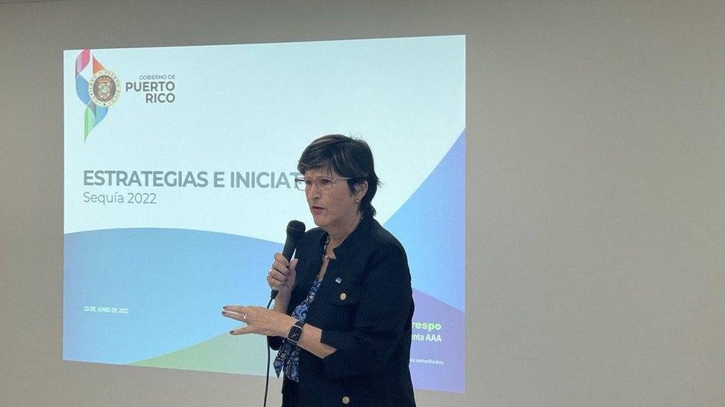  AAA anuncia subasta millonaria en proyectos de infraestructura 