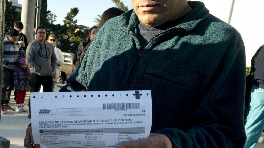  Congresistas de Florida buscan otorgar licencias de conducir a indocumentados 