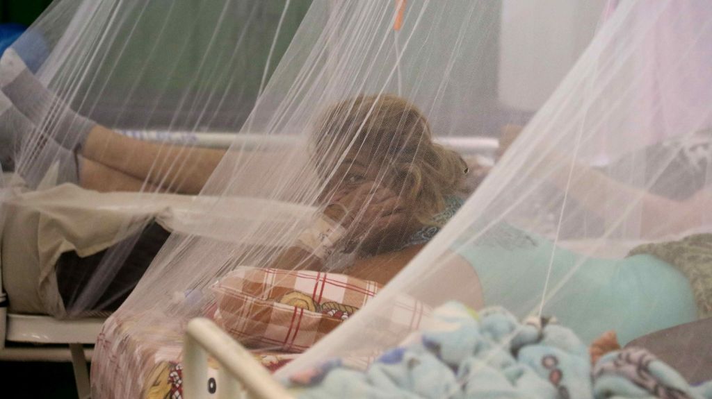  Confirman 8 casos de dengue en Puerto Rico 