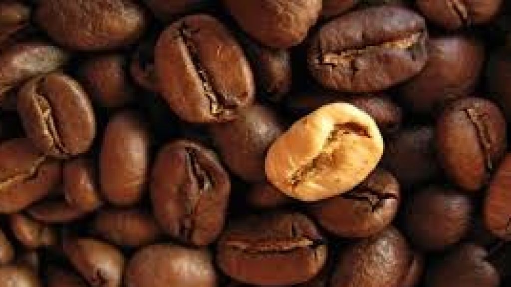  Analiza estado de la Industria del Caf&eacute; a cinco meses del hurac&aacute;n Mar&iacute;a 