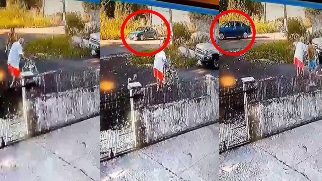  En video: Un Conductor en Mayag&uuml;ez atropella un perrito no una, dos veces y luego se va 